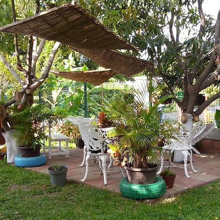 فندق Real Del Ambar Tuxtla Gutiérrez المظهر الخارجي الصورة